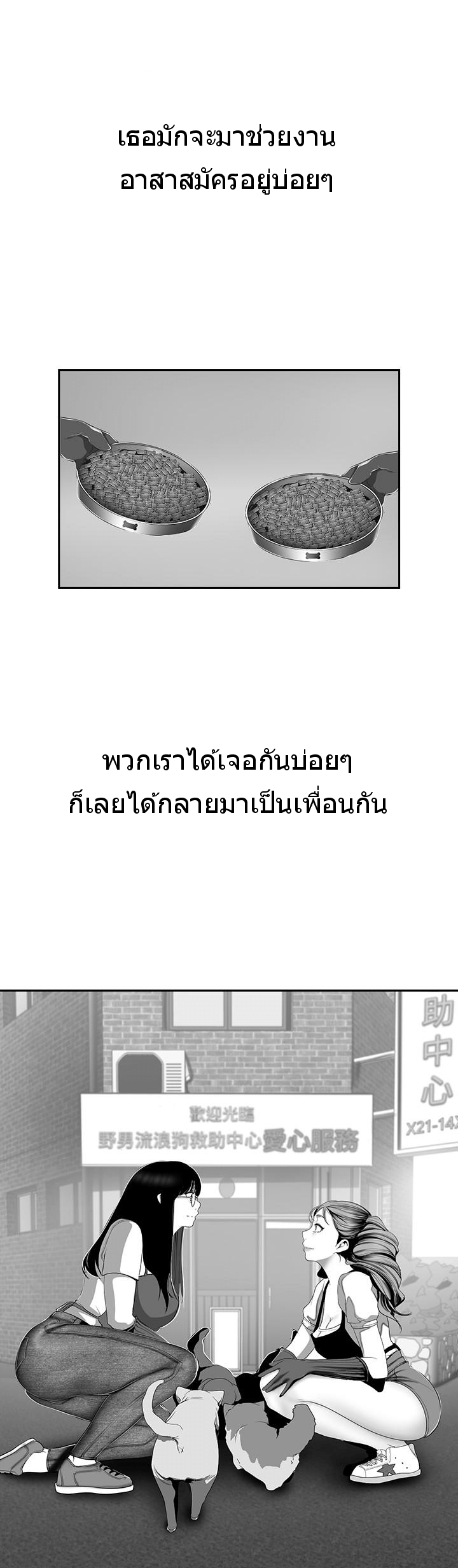 A Wonderful New World