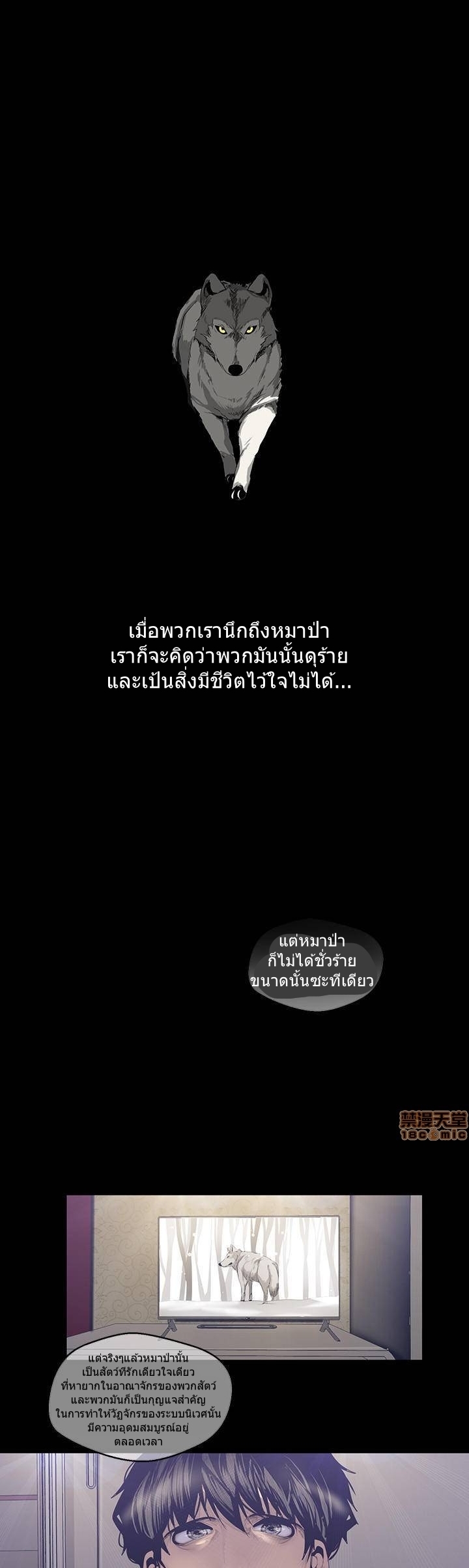 A Wonderful New World