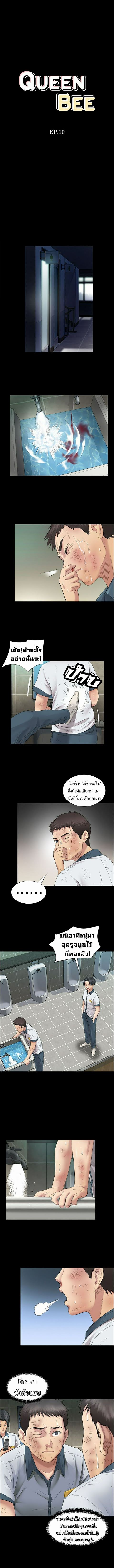 Queen Bee 10 (3)