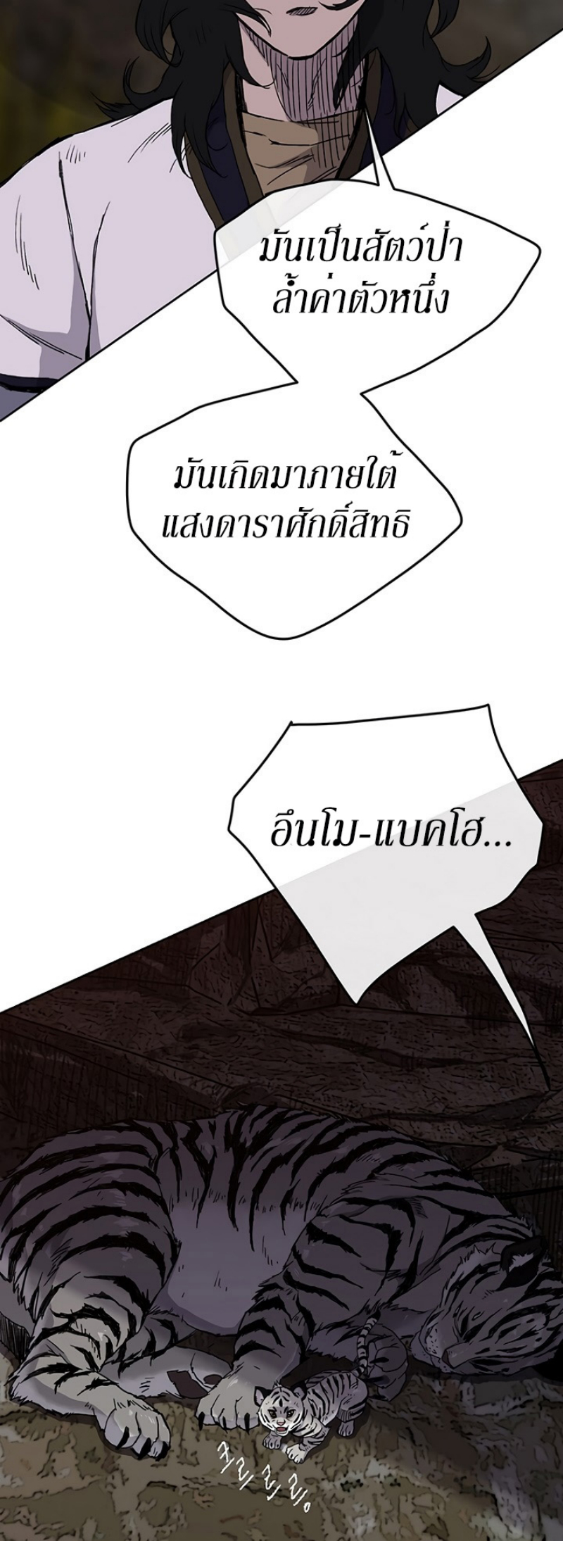 tus15 (43)