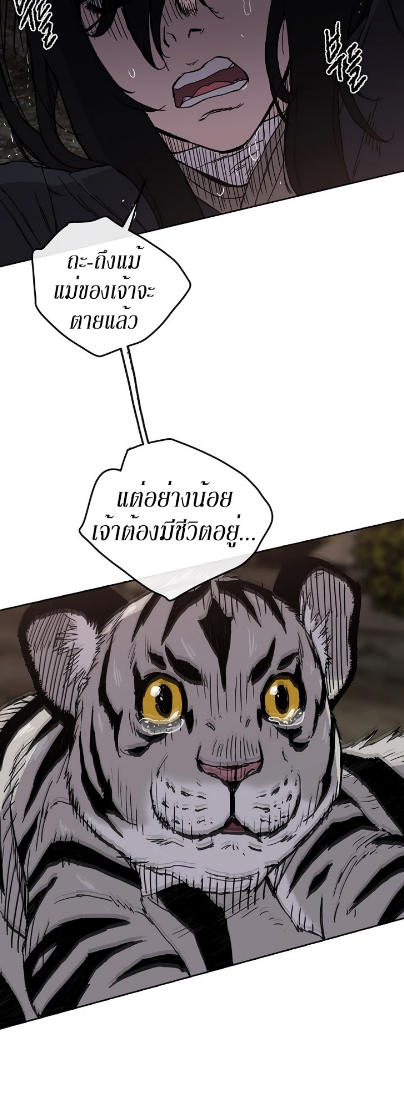 tus16 (12)