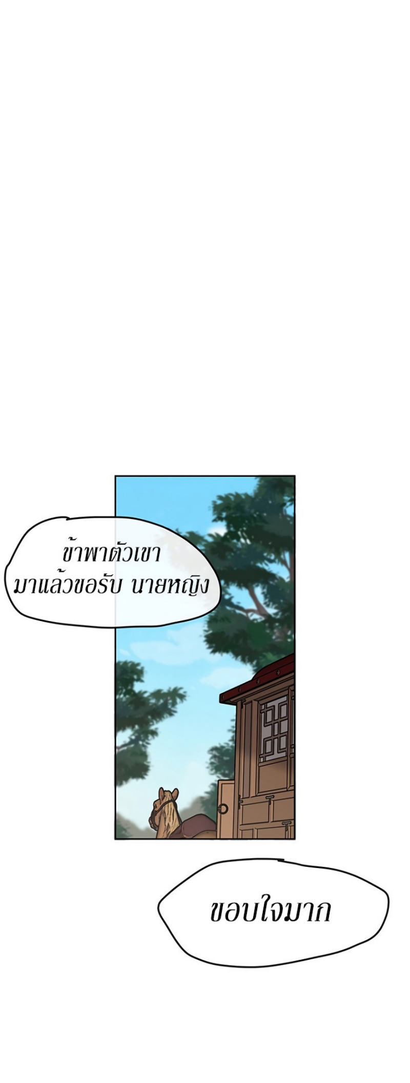 tus17 (47)