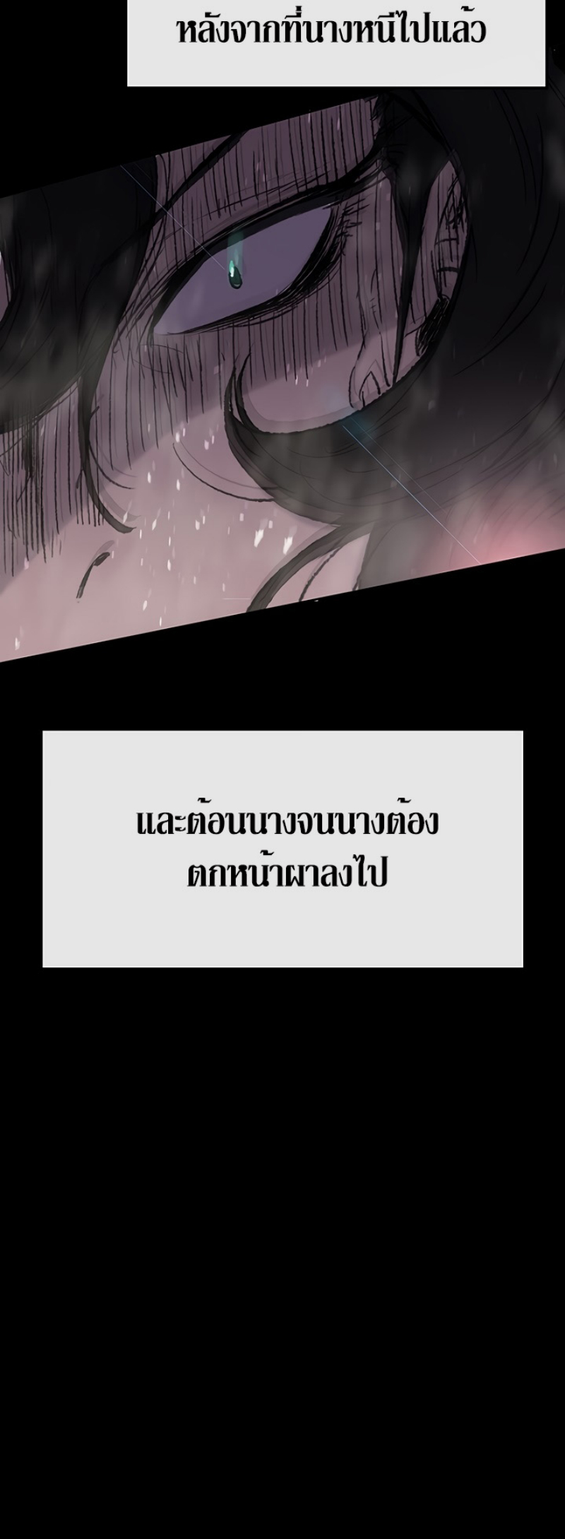 tus43 (6)