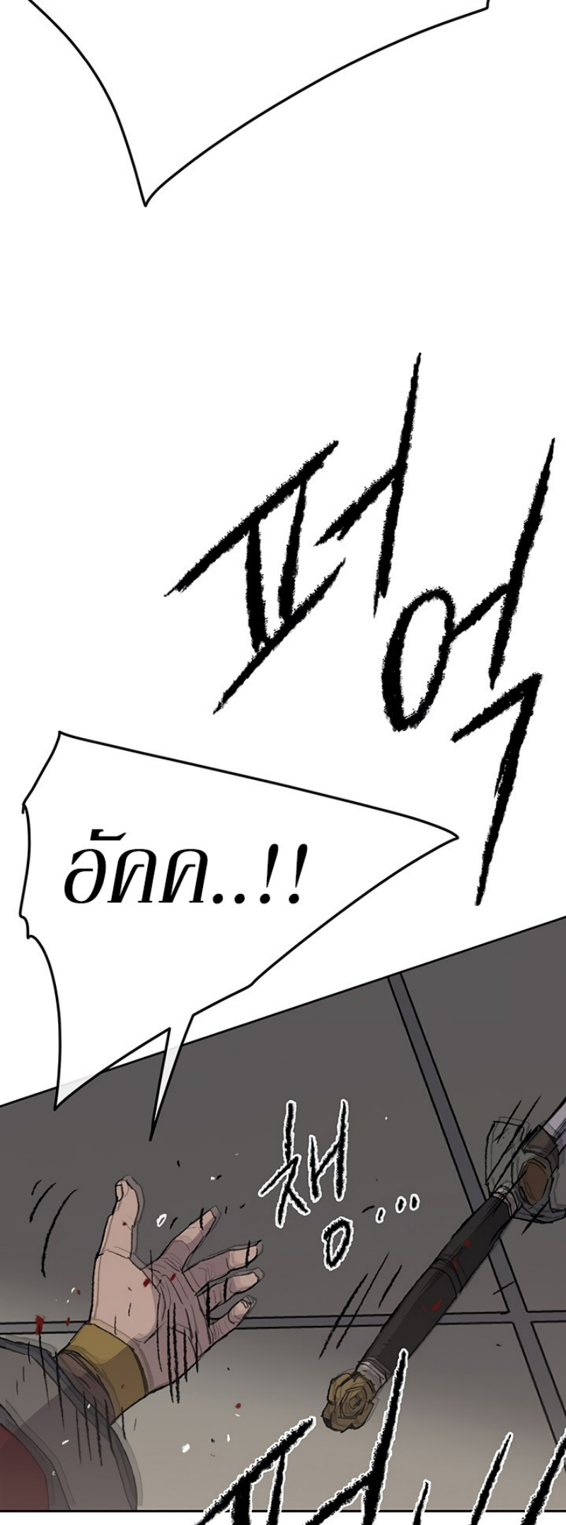 tus48 (32)