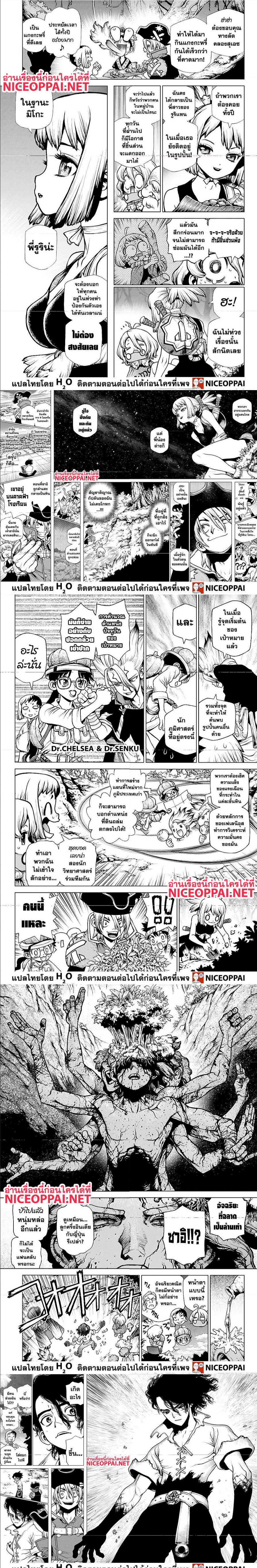 Dr. Stone204 (3)