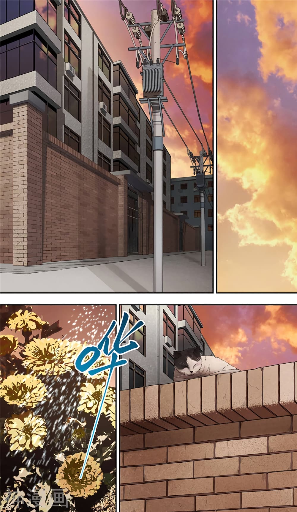 à¸­à¹ˆà¸²à¸™à¸¡à¸±à¸‡à¸‡à¸° à¸à¸²à¸£à¹Œà¸•à¸¹à¸™