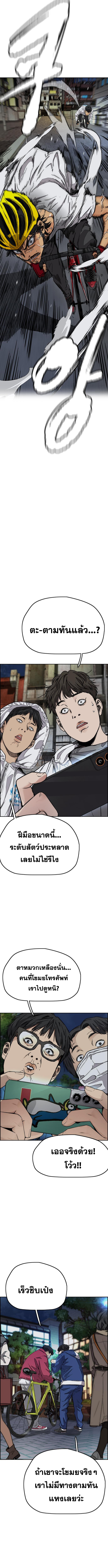 Windbreaker 59 (18)