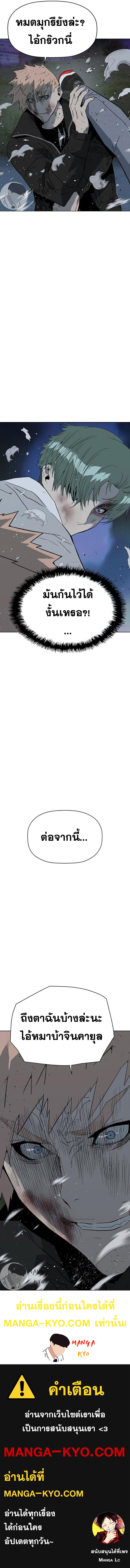 WEAK HERO 238 17