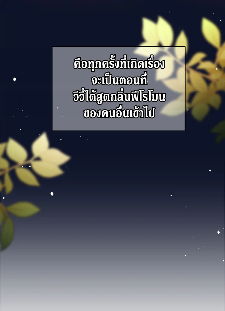 The Symbiotic Relationship Between a Panther and a Rabbit 29 100