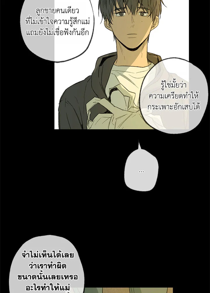 The Shape of Sympathy 47 034