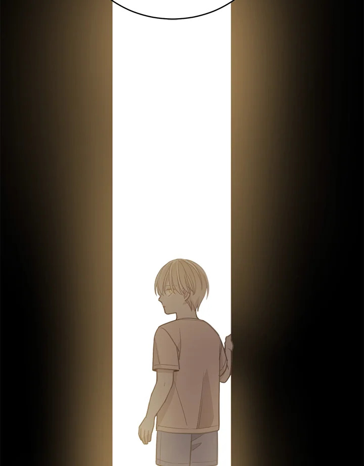 Shuffle 81 88