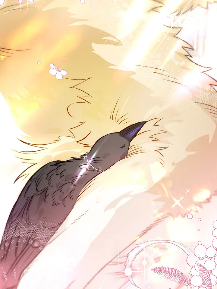 Of all things, I Became a Crow 69 002