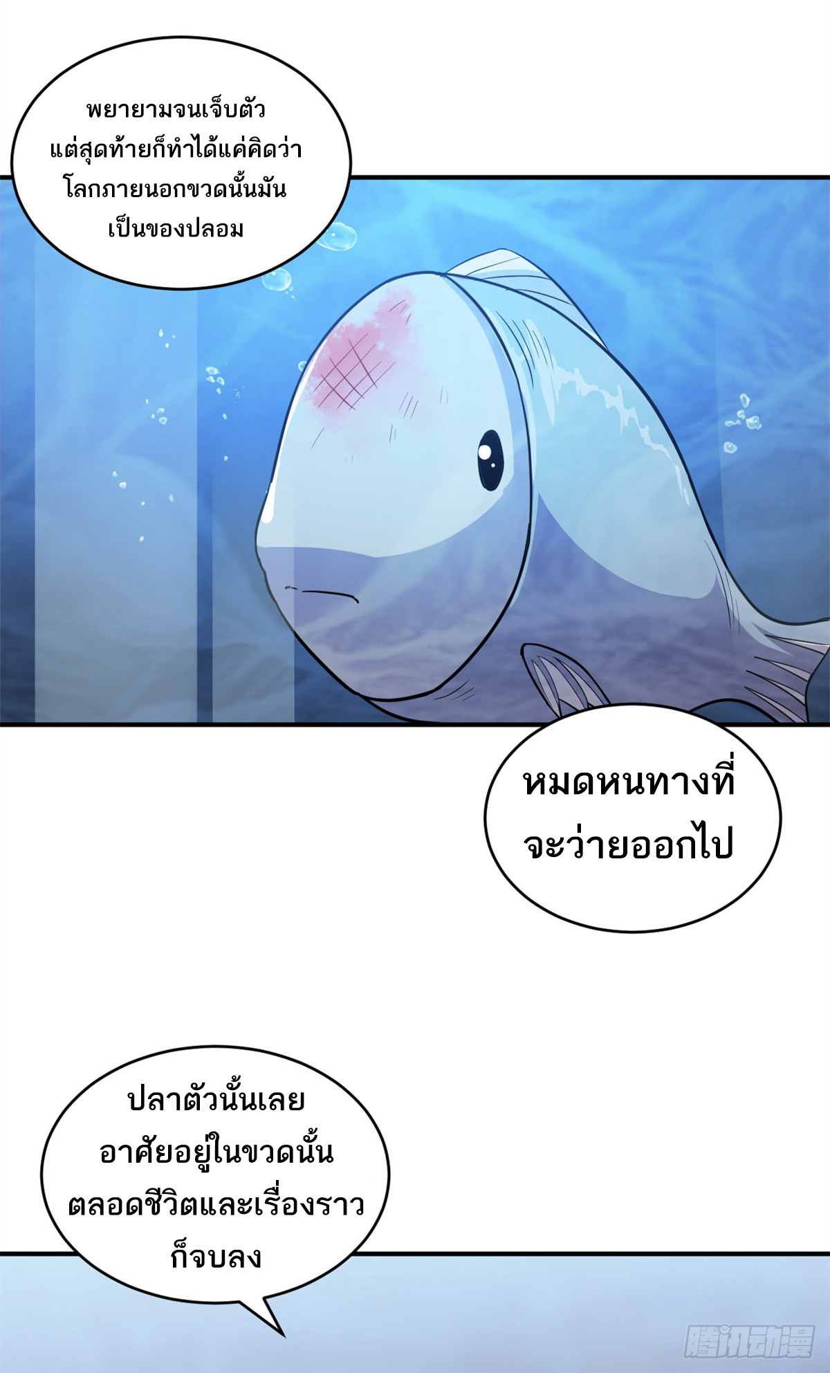 astral pet store 125.24