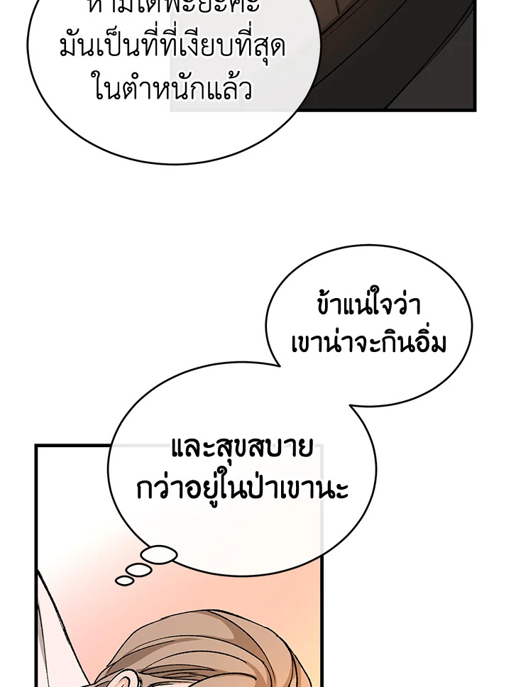 Fever 25 55