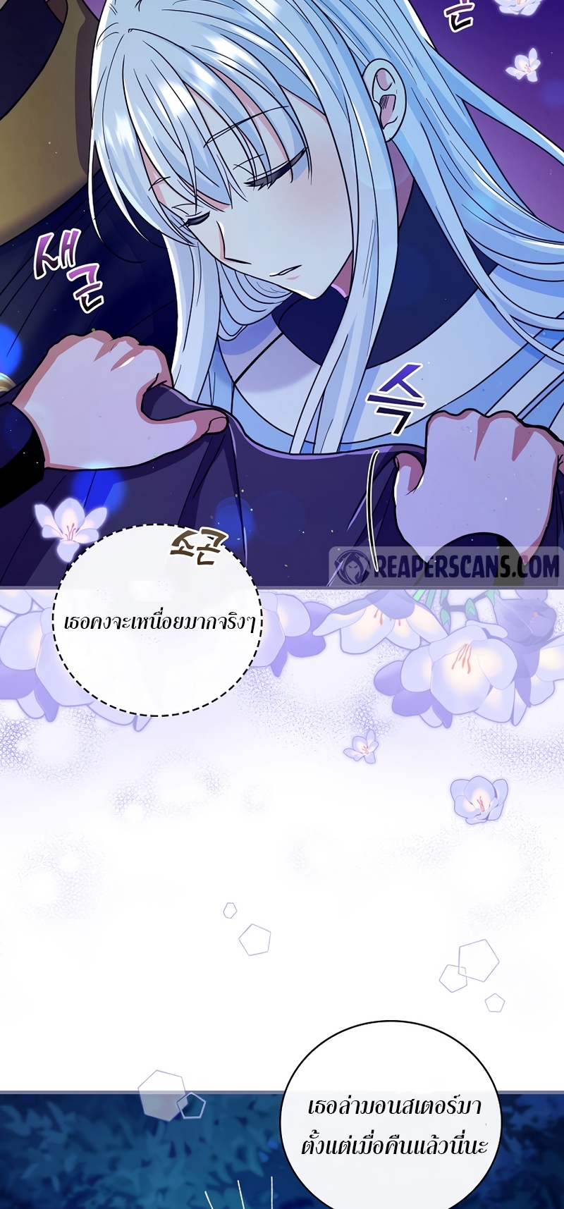 Knight of the Frozen Flower 24 48