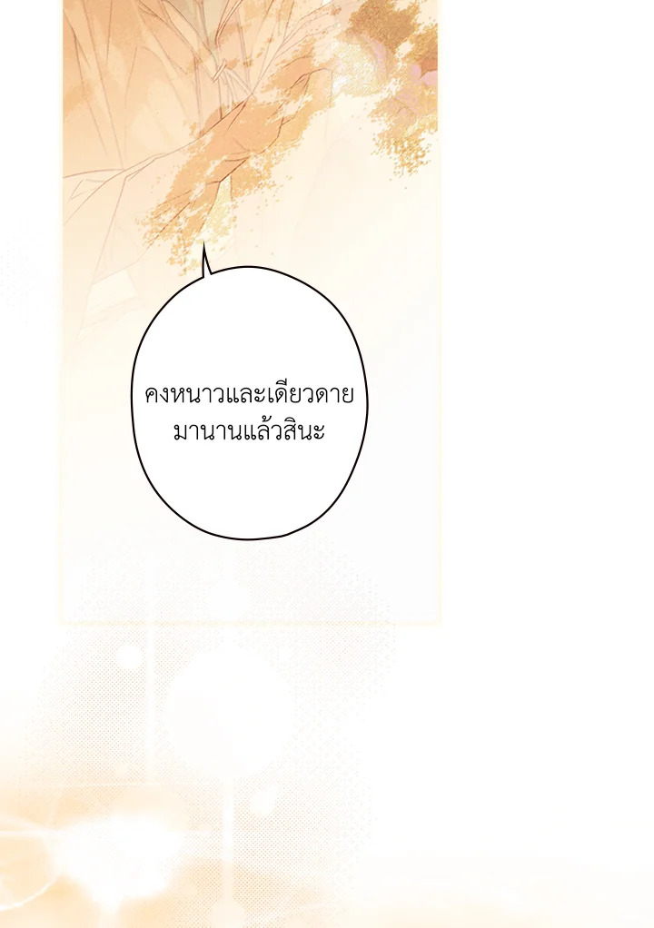 The Lady’s Secret 19 068