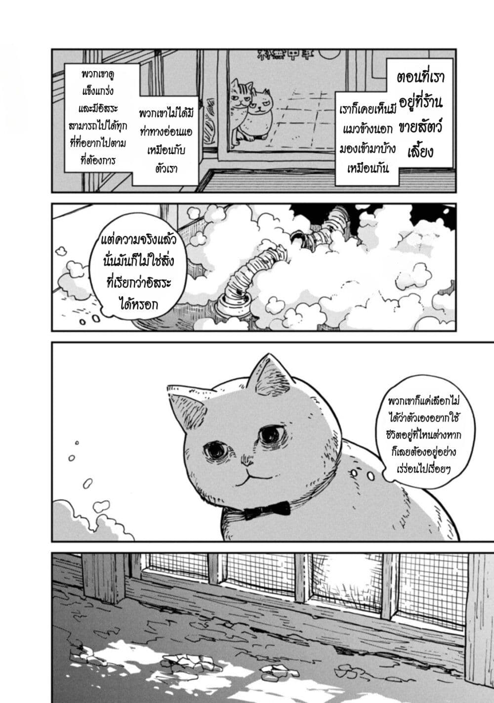 Tsureneko – Maruru to Hachi 1 23