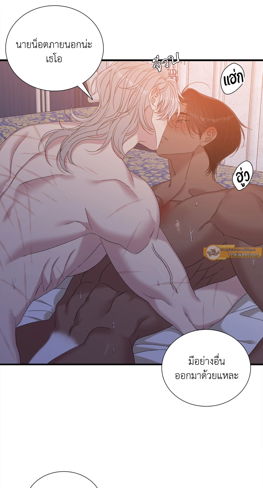 Smyrna and Capri 51 33