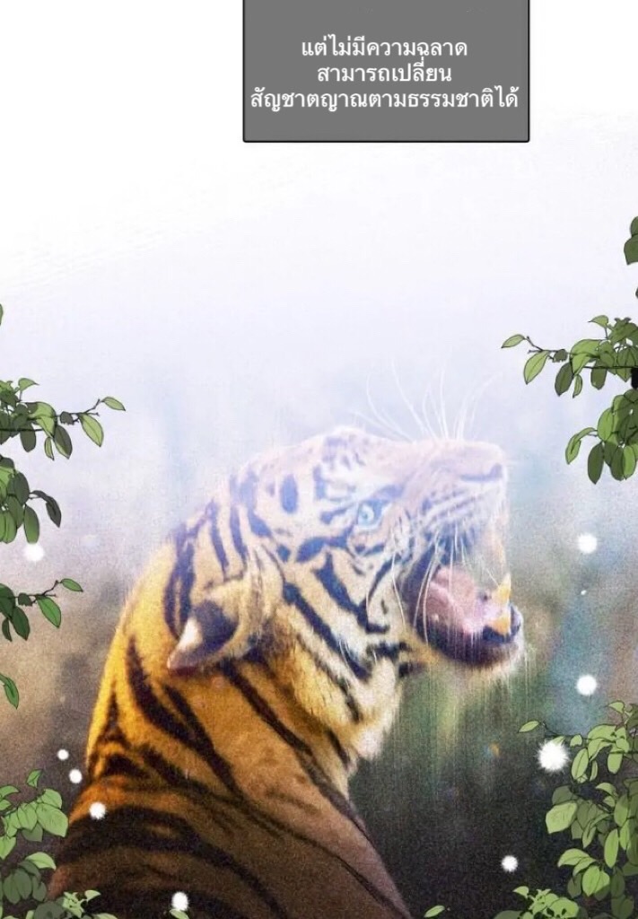 animal idols 1 (9)