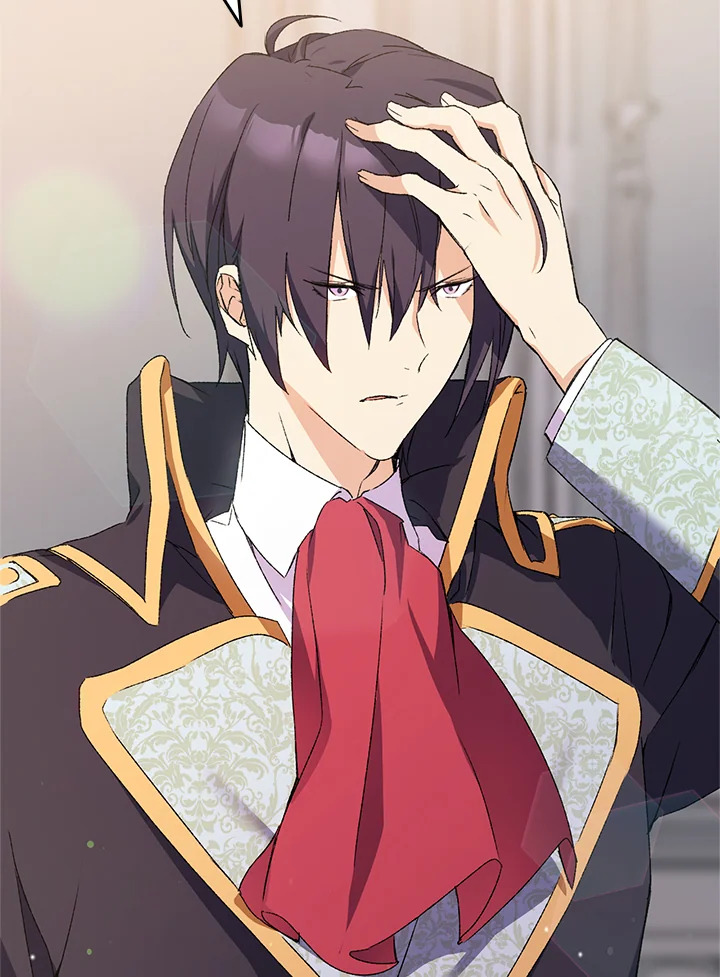 I Tried to Persuade My Brother and He Entrusted the Male Lead to Me 11 007