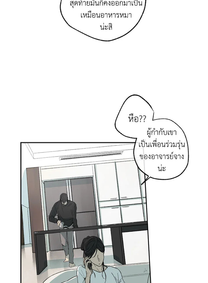 The Shape of Sympathy 6 50