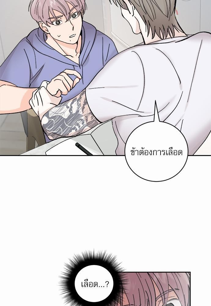 เน€เธชเธทเธญเธเธขเนเธณเธเธฑเธเธ—เธฃเน 28 15