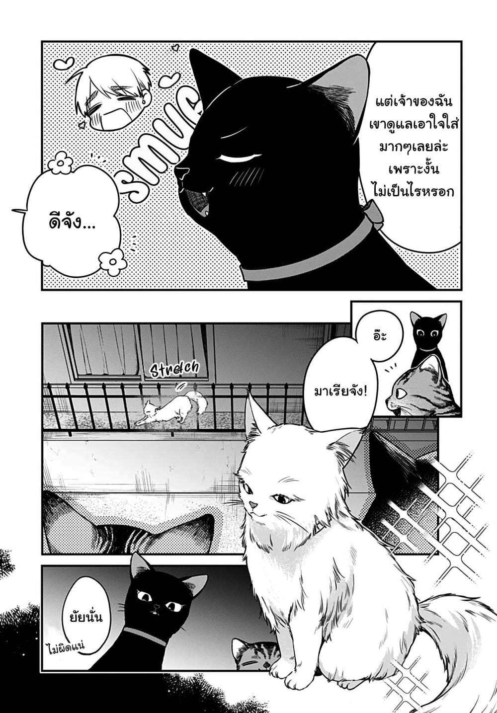 Mi chan wa Kawaretai 5 (4)