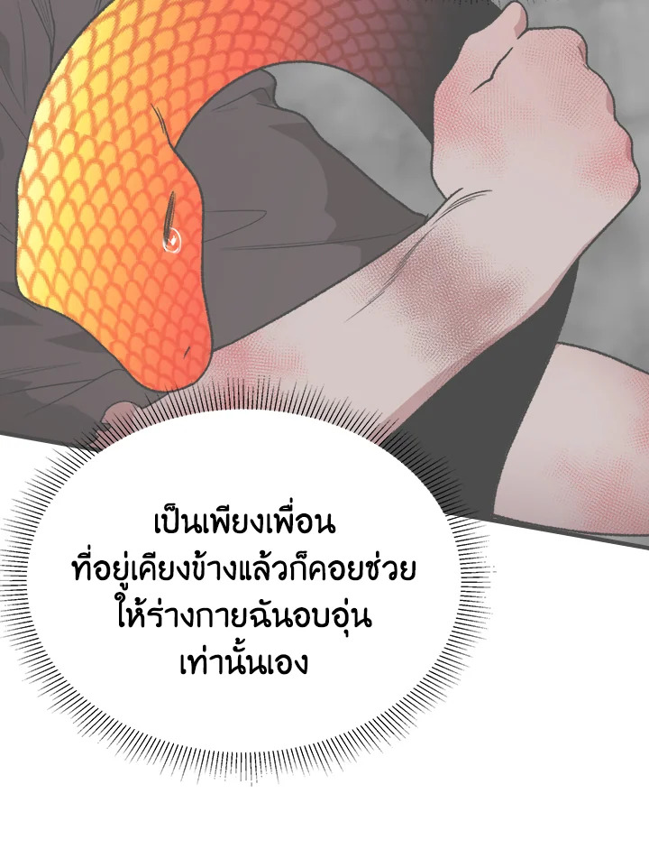  a 55 049