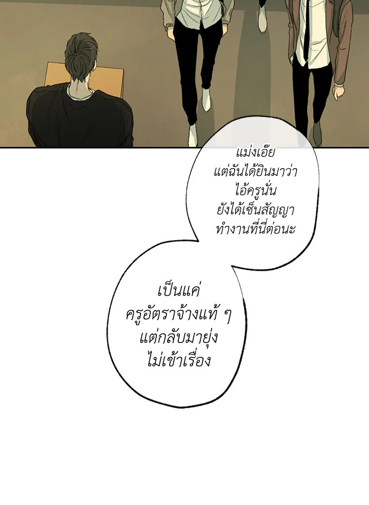 The Shape of Sympathy 52 23