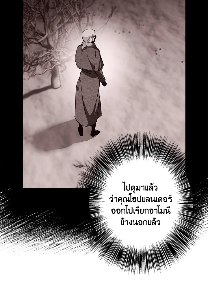 Winter Wolf 19 040