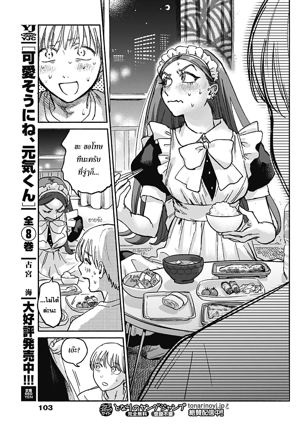 Yankee Maid Ruby san 1 19