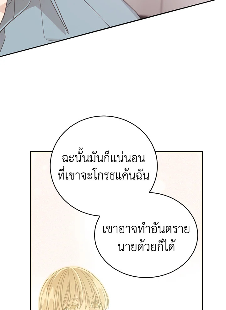 Shuffle 85 41