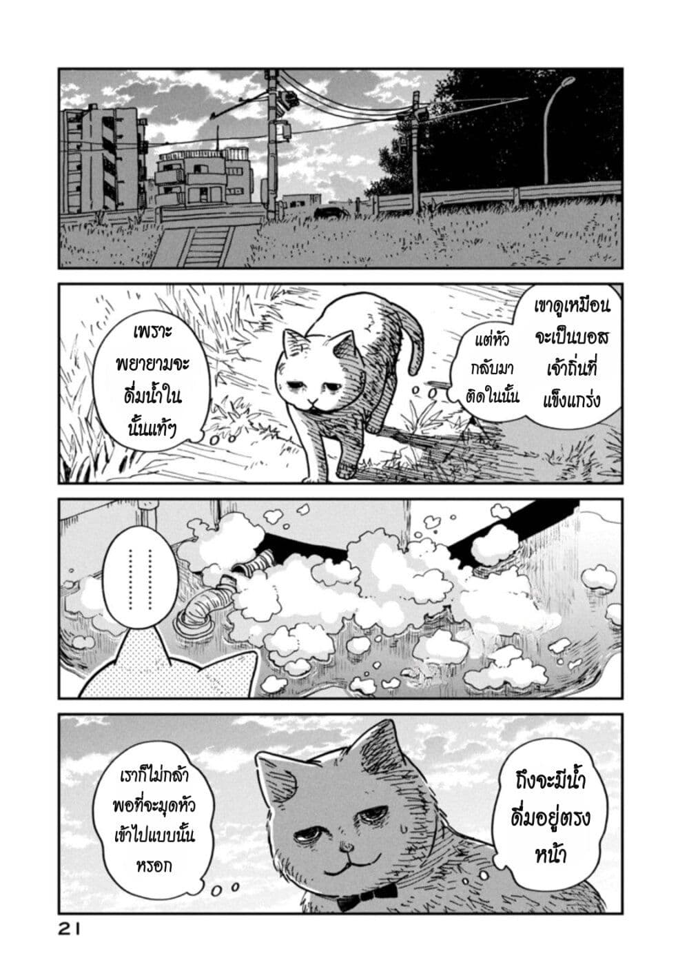 Tsureneko – Maruru to Hachi 1 22