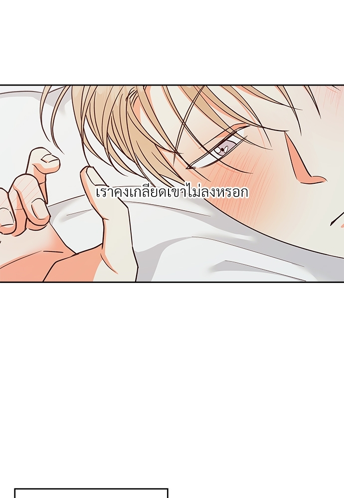 เธฃเนเธฒเธเธชเธฐเธ”เธงเธเธฃเธฑเธ 24 เธเธก 46 50