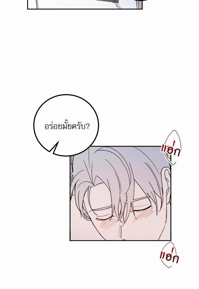 เน€เธชเธทเธญเธเธขเนเธณเธเธฑเธเธ—เธฃเน 29 28