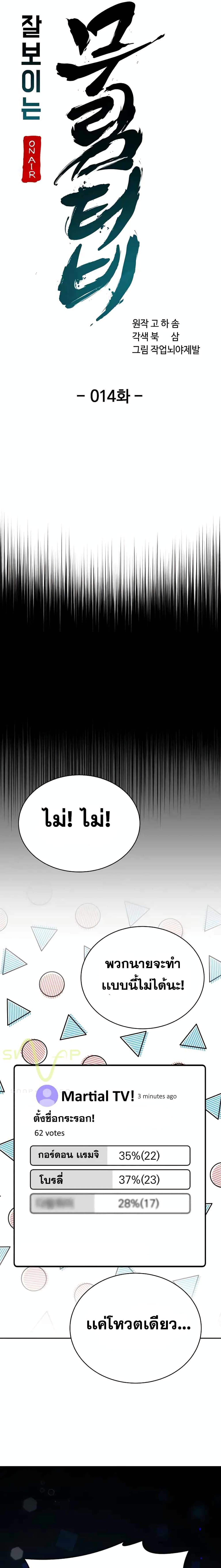 Martial Streamer 14 (5)