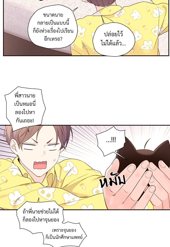 4 Week Lovers แฟนกัน 4 สัปดาห์ 47.1 41