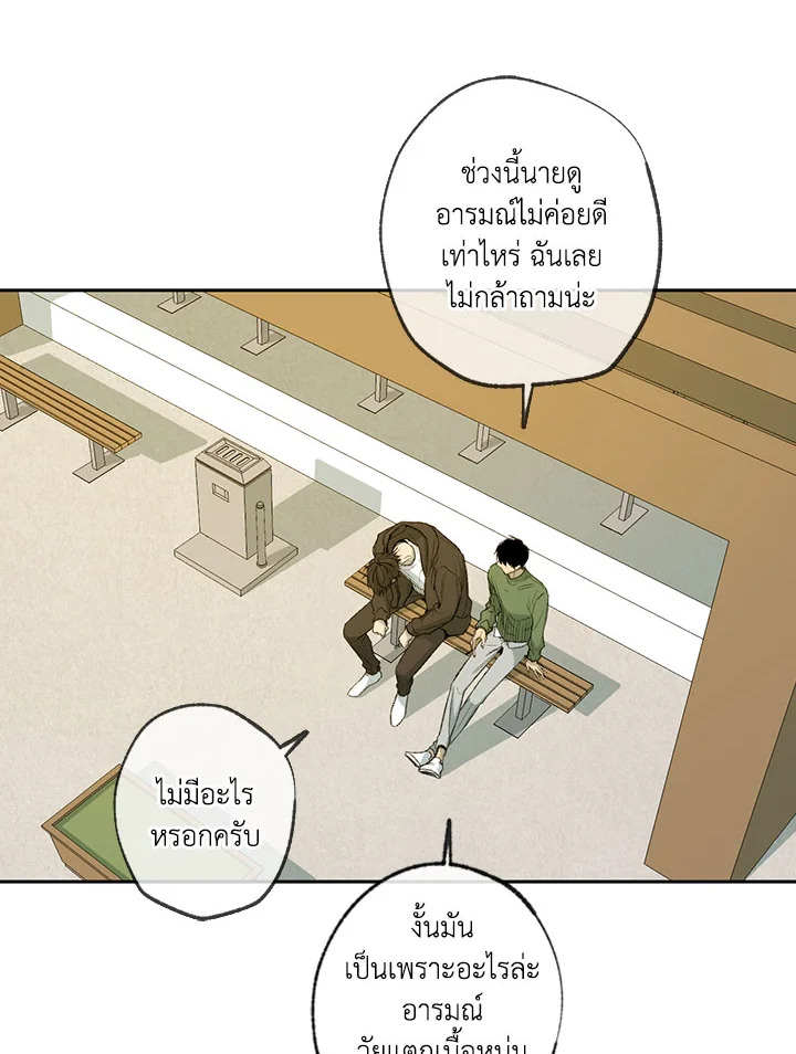 The Shape of Sympathy 55 03