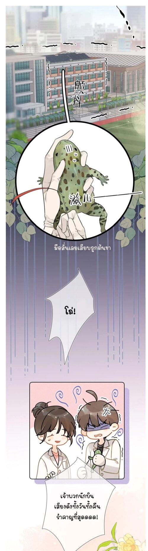 Heliotrope & ZJZ 4 (7)