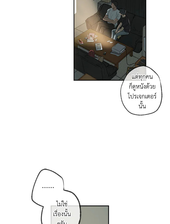 The Shape of Sympathy 4 033