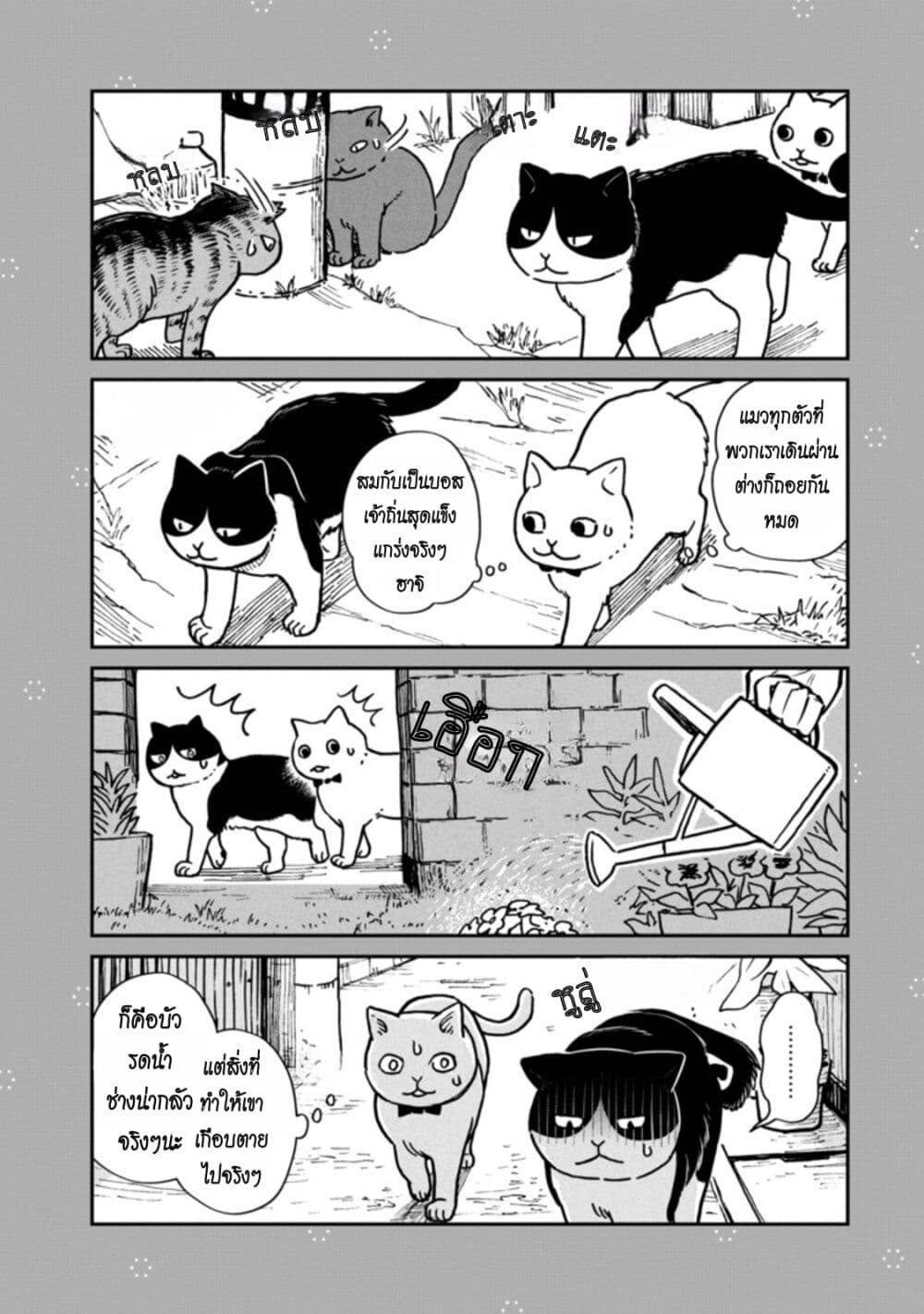 Tsureneko – Maruru to Hachi 1 33