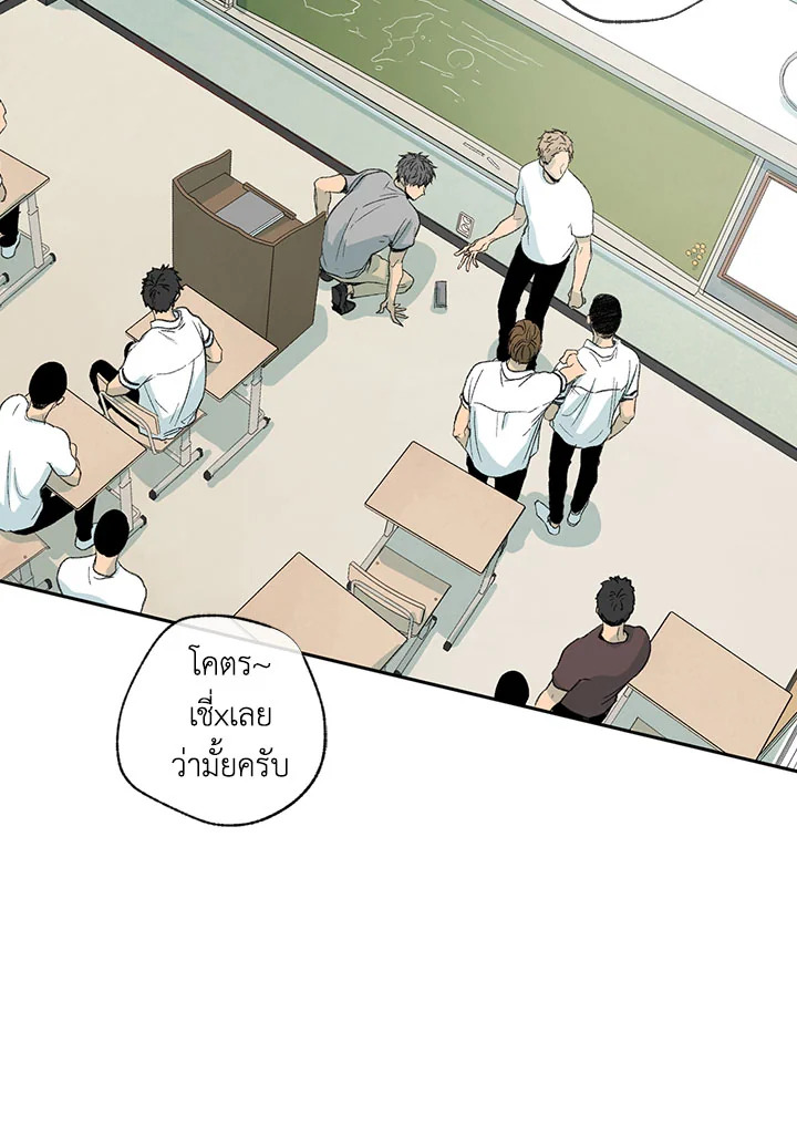 The Shape of Sympathy 11 14