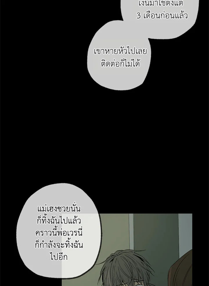 The Shape of Sympathy 47 075