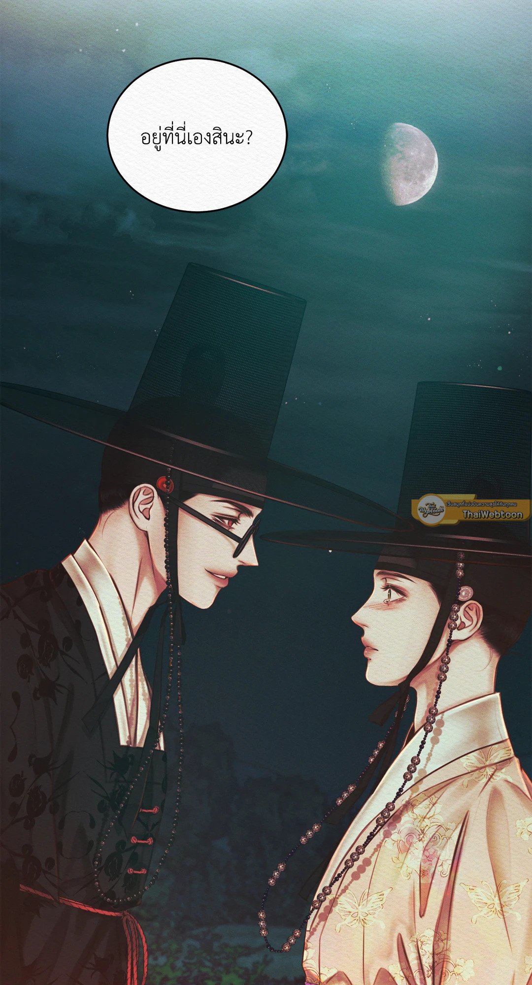 Night Song 27 41