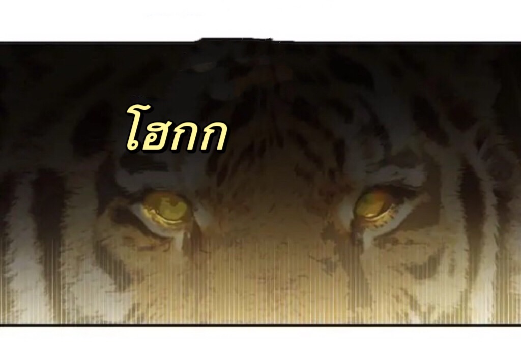 animal idols 1 (8)