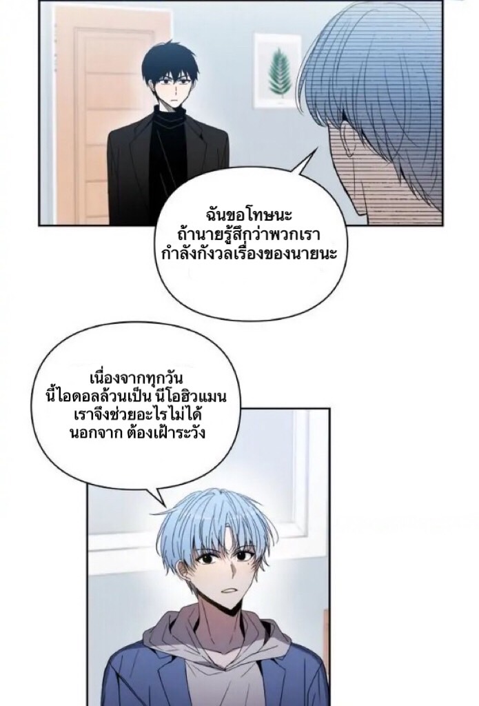 animal idols 1 (50)
