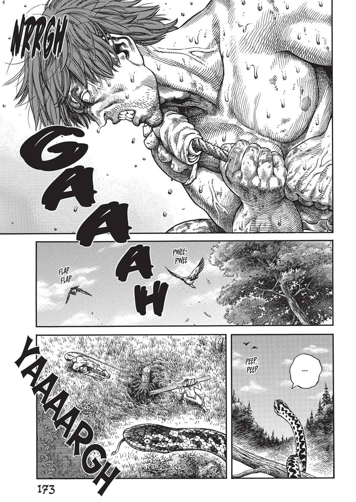Vinland Saga 63 (3)