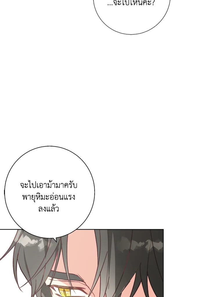 Winter Wolf 15 028
