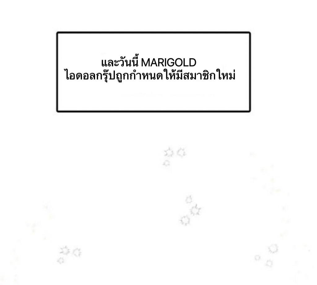 animal idols 1 (22)