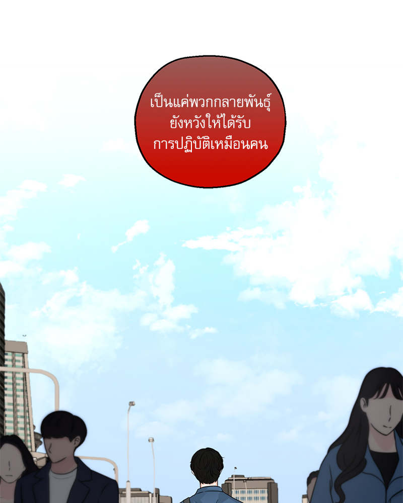 ฟืนเหนี่ยวไฟ 1 13
